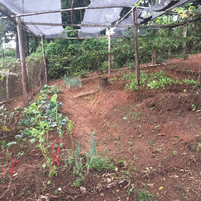 Chácara com 2 quartos à venda, 4300m2 em Piracaia - SP - imagem 7 Foto 7 de Chácara com 2 quartos à venda, 4300m2 em Piracaia - SP