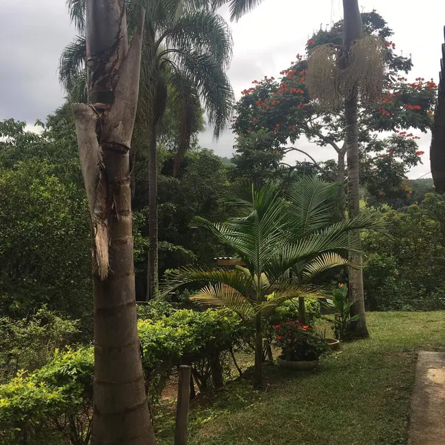 Chácara com 2 quartos à venda, 4300m2 em Piracaia - SP - imagem 3 Foto 3 de Chácara com 2 quartos à venda, 4300m2 em Piracaia - SP