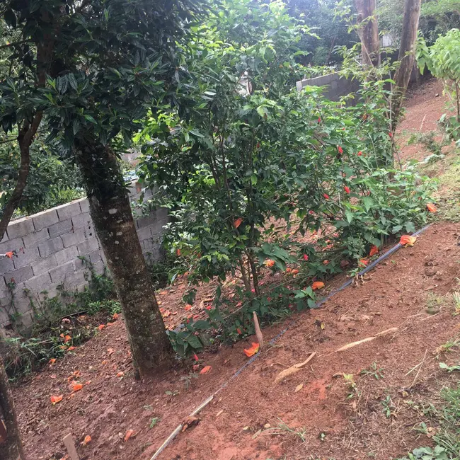 Chácara com 2 quartos à venda, 4300m2 em Piracaia - SP - imagem 4 Foto 4 de Chácara com 2 quartos à venda, 4300m2 em Piracaia - SP