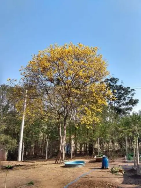 Foto 6 de Chácara com 3 quartos à venda, 214m2 em Área Rural de Atibaia, Atibaia - SP