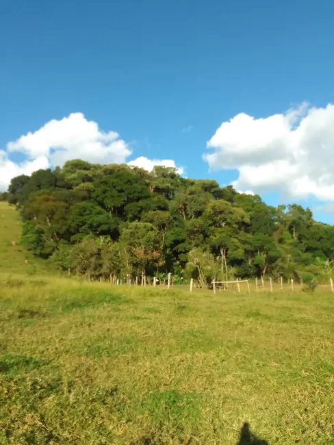 Foto 4 de Sítio / Rancho com 3 quartos à venda, 200m2 em Pedra Bela - SP