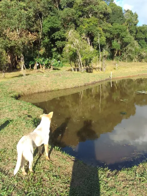 Foto 1 de Sítio / Rancho com 3 quartos à venda, 200m2 em Pedra Bela - SP