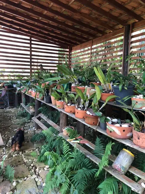 Foto 7 de Chácara com 3 quartos à venda, 250m2 em Mairipora - SP