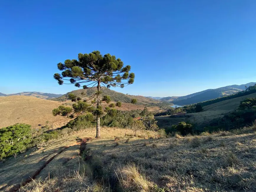 Foto 3 de Sítio / Rancho com 3 quartos à venda, 350m2 em Piracaia - SP