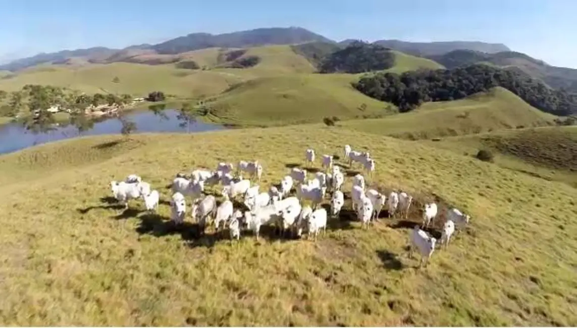 Foto 3 de Fazenda / Haras com 5 quartos à venda, 1000m2 em Sapé I, Cacapava - SP