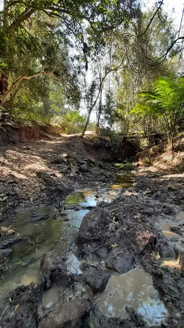Foto 9 de Sítio / Rancho com 2 quartos à venda, 100m2 em Pedra Bela - SP