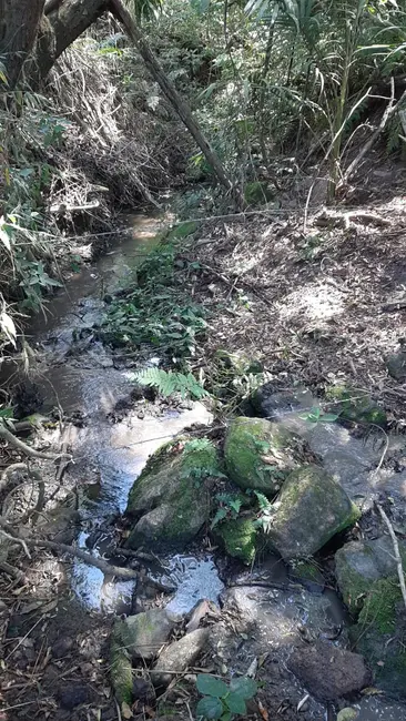 Foto 2 de Sítio / Rancho com 2 quartos à venda, 100m2 em Pedra Bela - SP