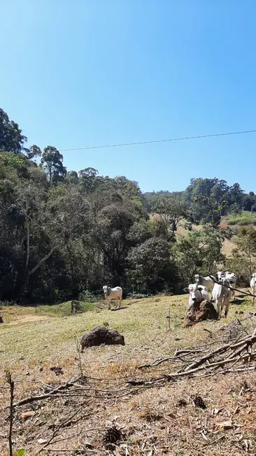 Foto 7 de Sítio / Rancho com 2 quartos à venda, 100m2 em Pedra Bela - SP