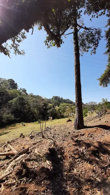 Foto 8 de Sítio / Rancho com 2 quartos à venda, 100m2 em Pedra Bela - SP