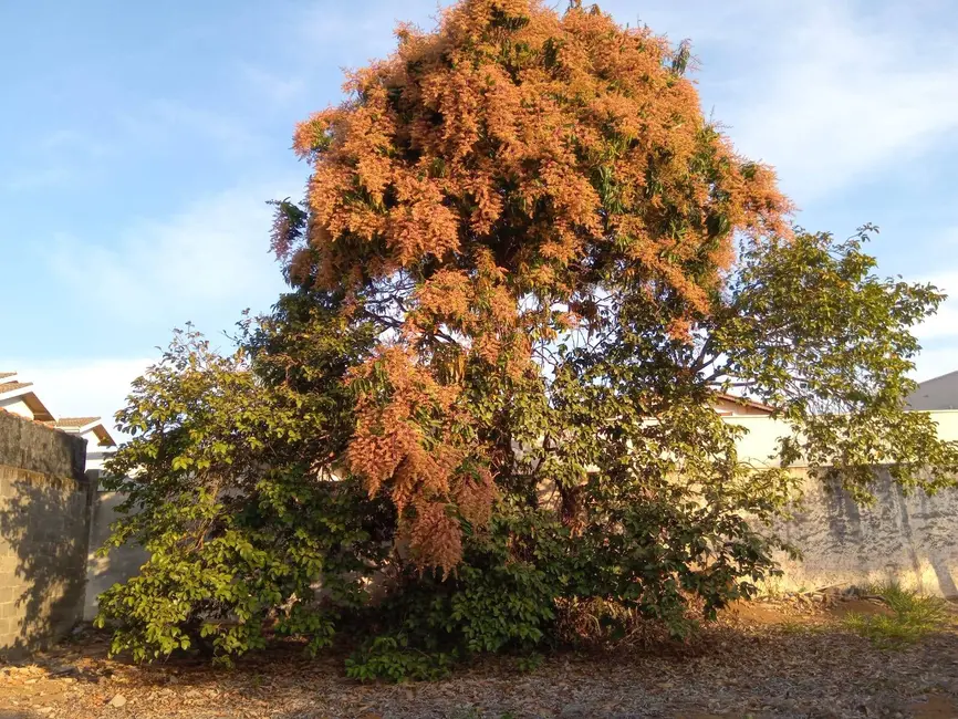 Foto 4 de Terreno / Lote à venda, 403m2 em Jardim Itaperi, Atibaia - SP