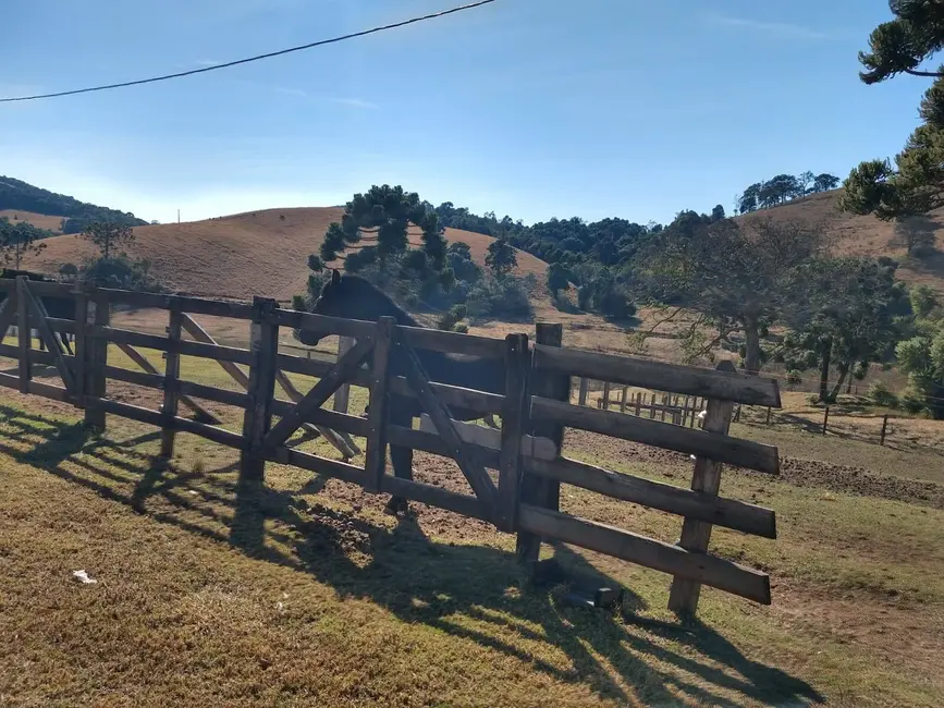 Foto 8 de Chácara à venda, 73m2 em Camanducaia - MG