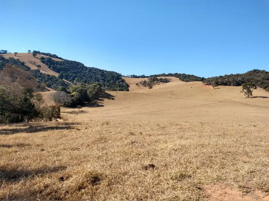Foto 6 de Chácara à venda, 73m2 em Camanducaia - MG