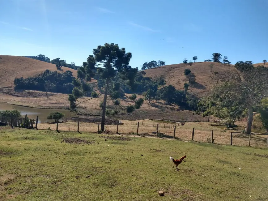 Foto 16 de Chácara à venda, 73m2 em Camanducaia - MG
