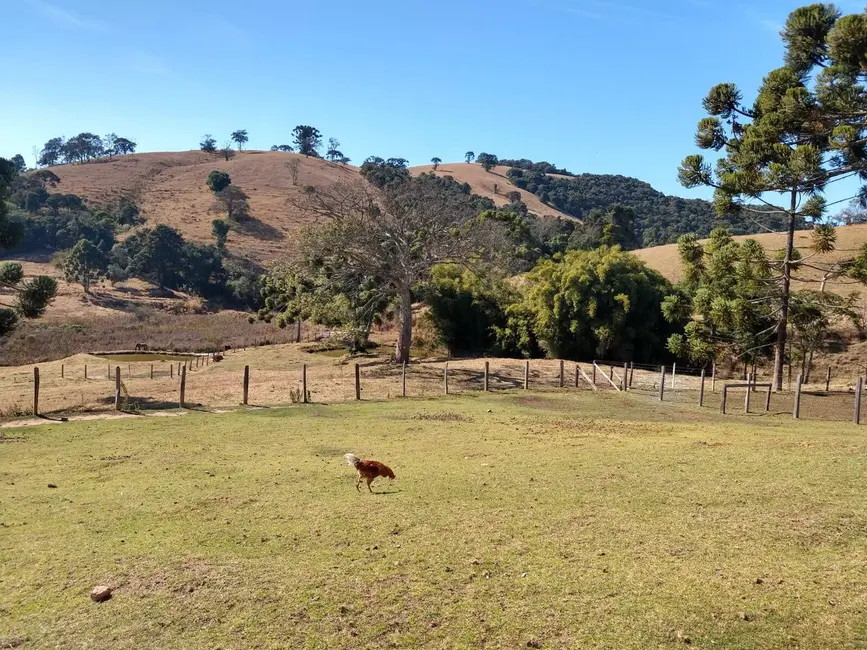 Foto 12 de Chácara à venda, 73m2 em Camanducaia - MG