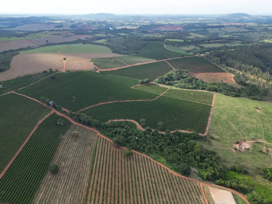 Foto 6 de Fazenda / Haras com 11 quartos à venda, 151m2 em Eloi Mendes - MG