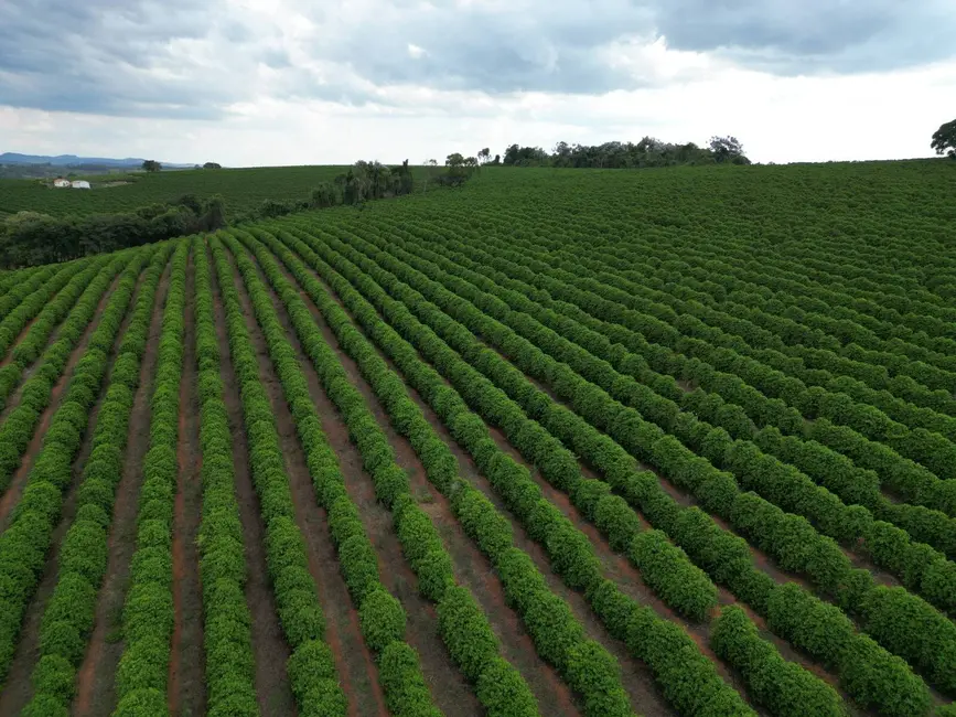 Foto 1 de Fazenda / Haras com 11 quartos à venda, 151m2 em Eloi Mendes - MG