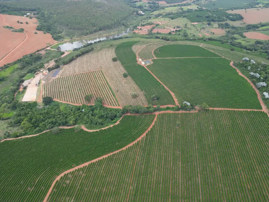 Foto 9 de Fazenda / Haras com 11 quartos à venda, 151m2 em Eloi Mendes - MG