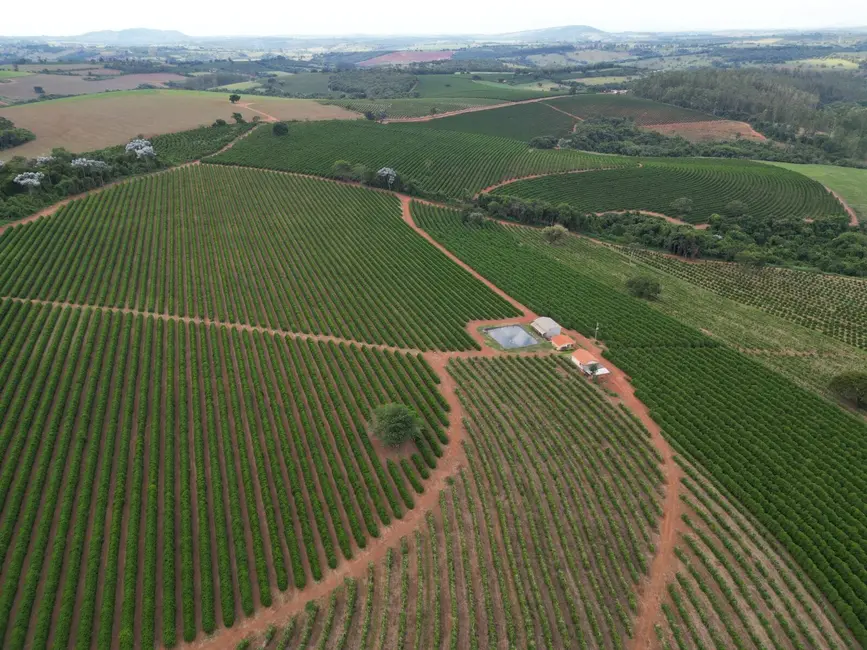 Foto 3 de Fazenda / Haras com 11 quartos à venda, 151m2 em Eloi Mendes - MG