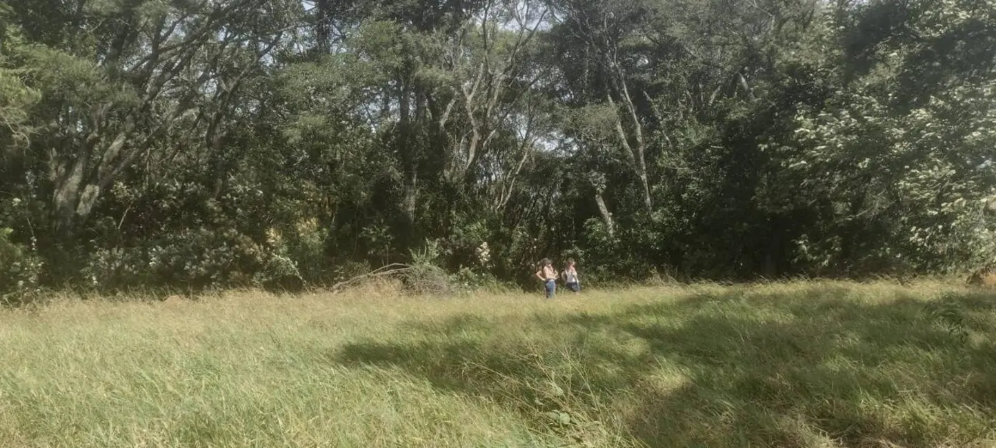 Foto 4 de Sala Comercial à venda, 20000m2 em Ponte Alta, Atibaia - SP