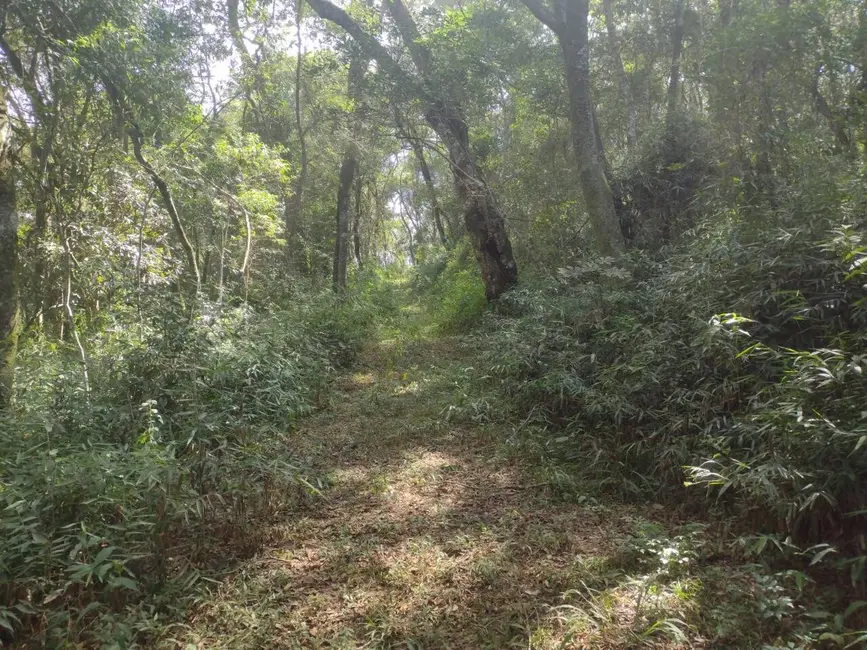 Foto 6 de Sala Comercial à venda, 20000m2 em Ponte Alta, Atibaia - SP