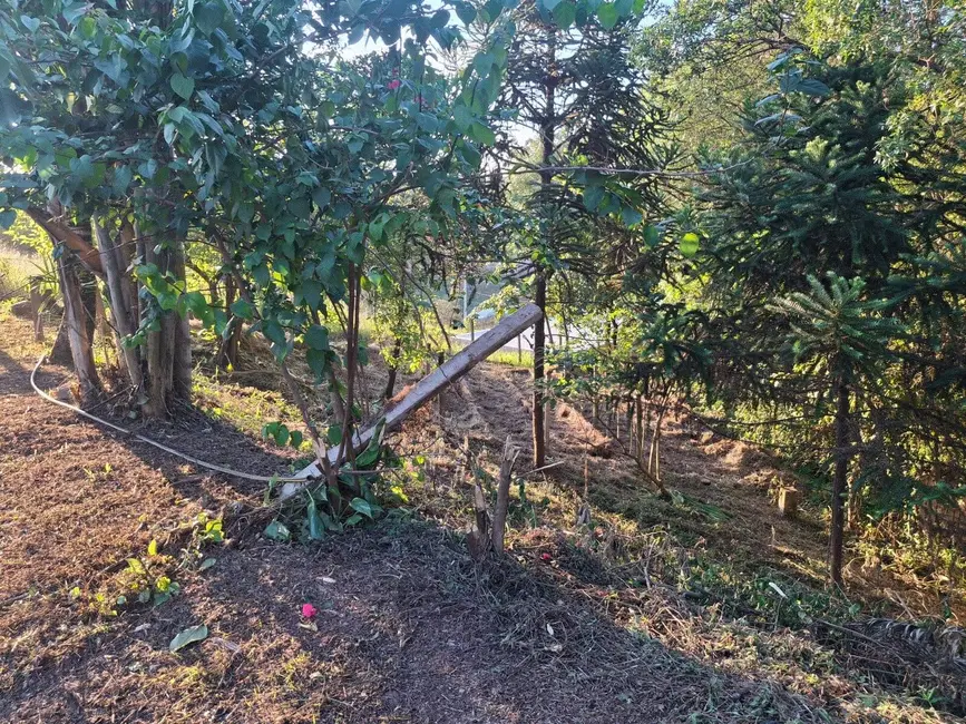 Foto 5 de Chácara com 2 quartos à venda, 2400m2 em Centro, Jarinu - SP