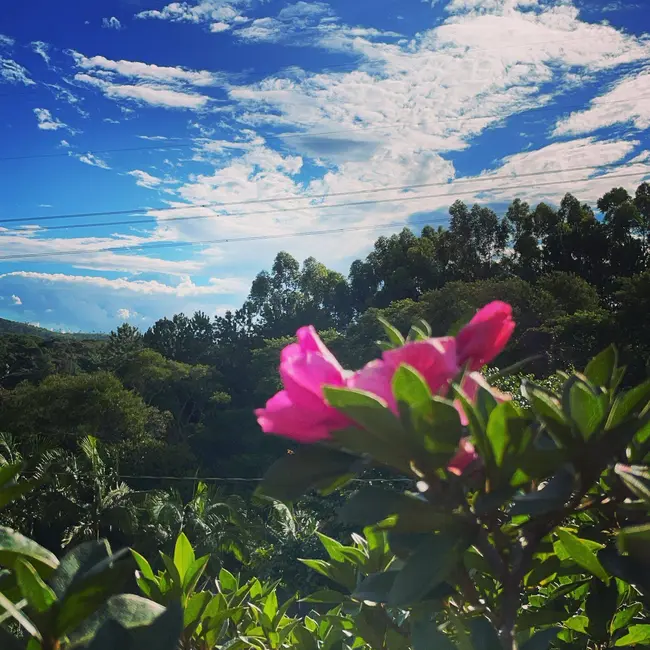 Foto 2 de Chácara com 32 quartos à venda, 17000m2 em Mairipora - SP