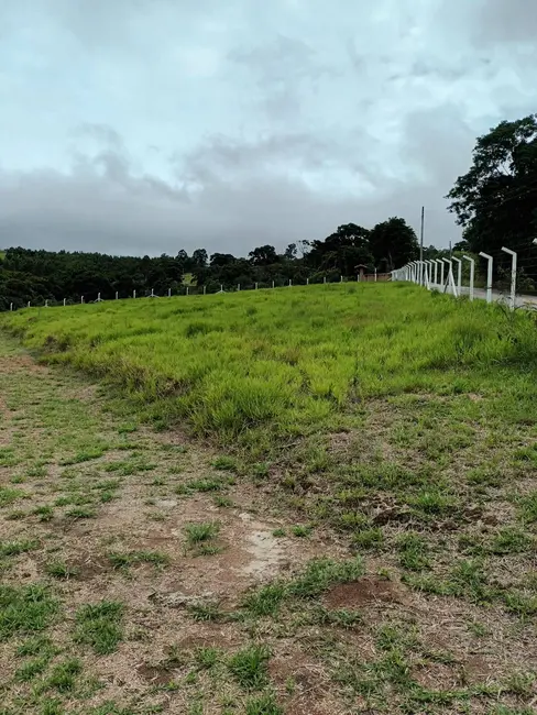 Foto 8 de Terreno / Lote à venda, 16000m2 em Centro, Vargem - SP