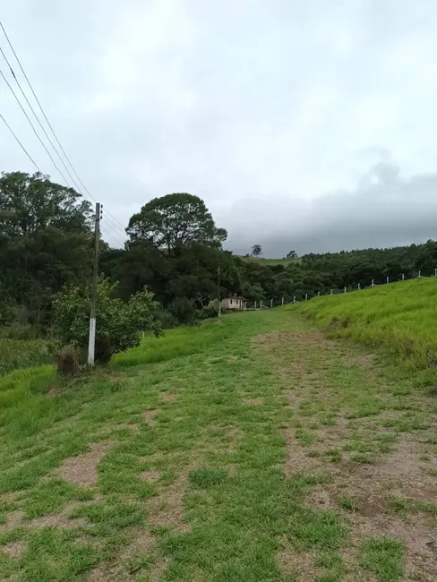 Foto 4 de Terreno / Lote à venda, 16000m2 em Centro, Vargem - SP