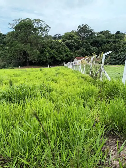 Foto 6 de Terreno / Lote à venda, 16000m2 em Centro, Vargem - SP