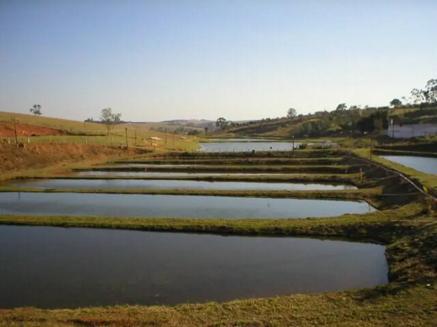 Foto 7 de Fazenda / Haras à venda, 97m2 em Curitibanos, Braganca Paulista - SP