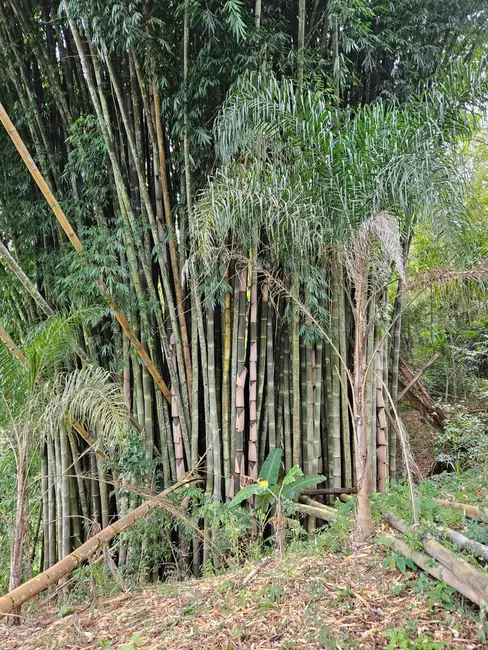 Foto 5 de Sítio / Rancho com 1 quarto à venda, 120m2 em Área Rural de Franco da Rocha, Franco Da Rocha - SP