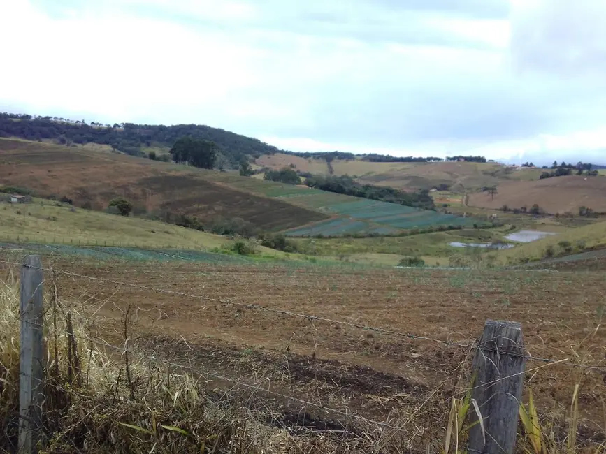 Sítio / Rancho com 3 quartos à venda, 30m2 em Toledo - MG - imagem 3 Foto 3 de Sítio / Rancho com 3 quartos à venda, 30m2 em Toledo - MG