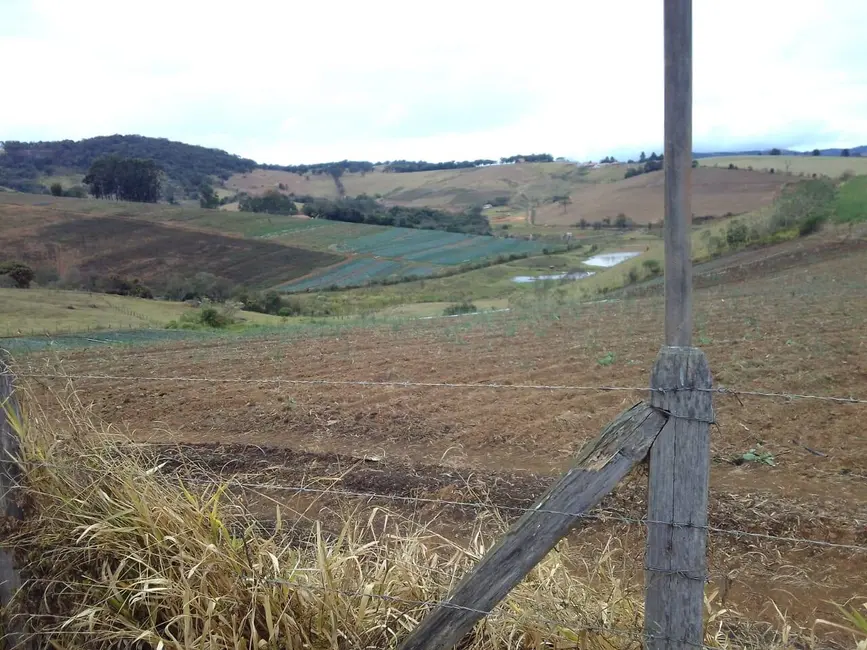 Sítio / Rancho com 3 quartos à venda, 30m2 em Toledo - MG - imagem 7 Foto 7 de Sítio / Rancho com 3 quartos à venda, 30m2 em Toledo - MG