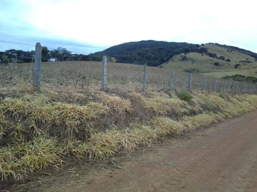 Sítio / Rancho com 3 quartos à venda, 30m2 em Toledo - MG - imagem 8 Foto 8 de Sítio / Rancho com 3 quartos à venda, 30m2 em Toledo - MG