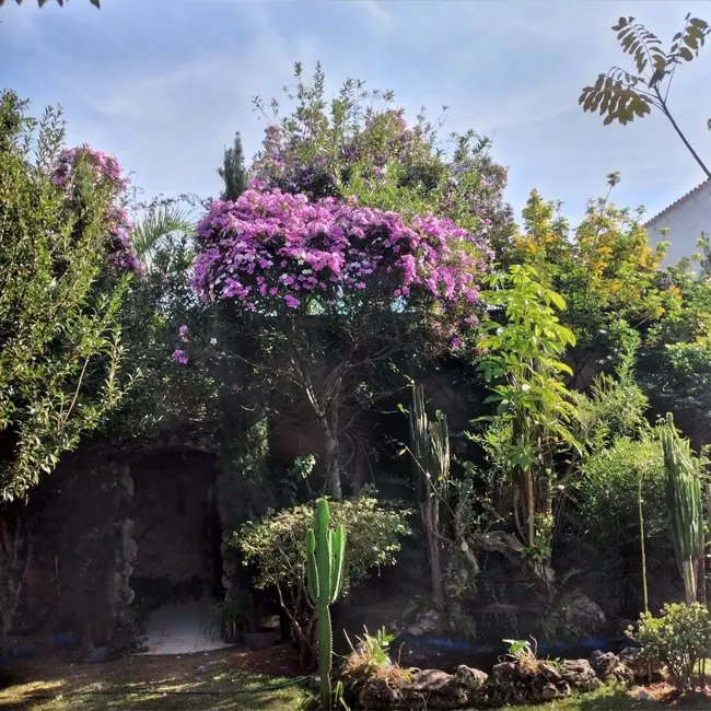 Foto 7 de Chácara com 4 quartos à venda, 615m2 em Vila Dom Pedro, Atibaia - SP