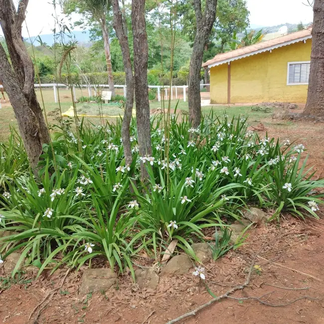 Foto 6 de Chácara com 4 quartos à venda, 615m2 em Vila Dom Pedro, Atibaia - SP