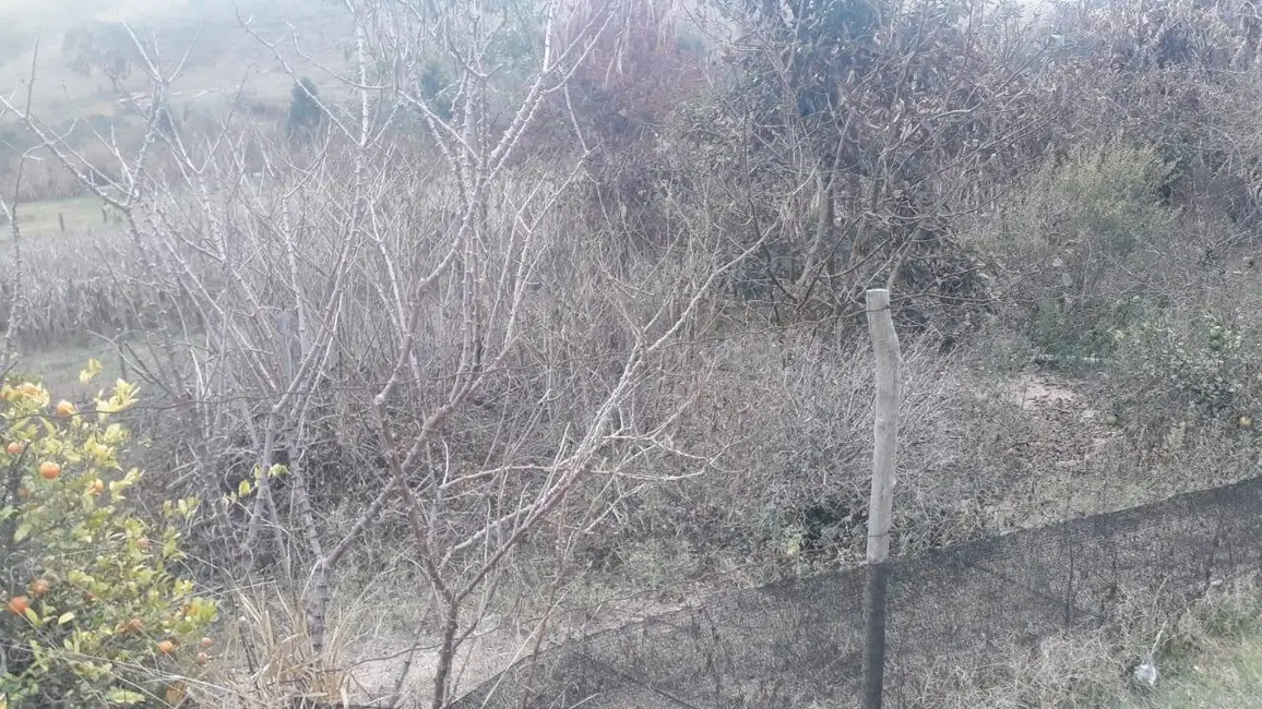 Foto 6 de Chácara com 3 quartos à venda, 186m2 em Pedra Bela - SP