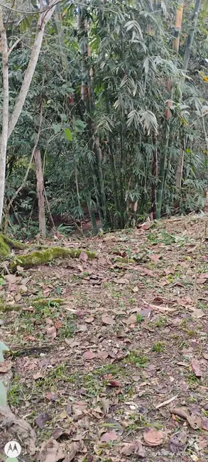 Foto 7 de Chácara com 3 quartos à venda, 120m2 em Igarata - SP