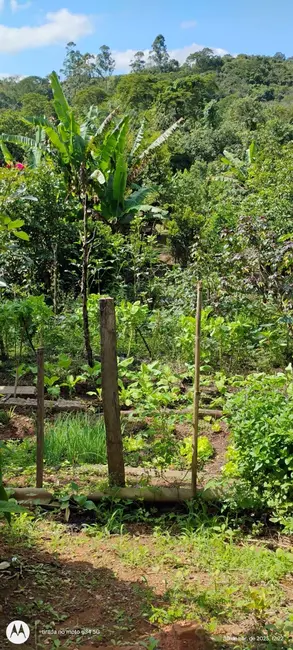 Foto 5 de Chácara com 3 quartos à venda, 120m2 em Igarata - SP