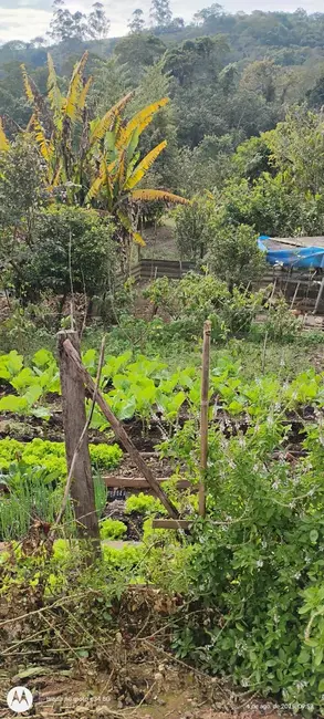 Foto 4 de Chácara com 3 quartos à venda, 120m2 em Igarata - SP