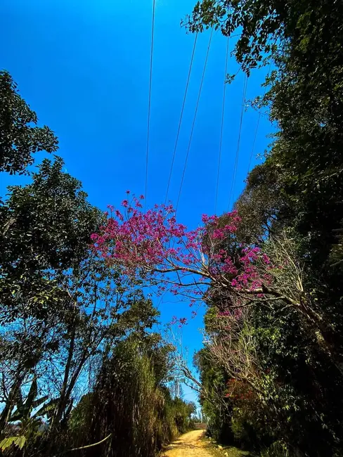 Chácara com 3 quartos à venda, 100m2 em Batatuba, Piracaia - SP - imagem 7 Foto 7 de Chácara com 3 quartos à venda, 100m2 em Batatuba, Piracaia - SP