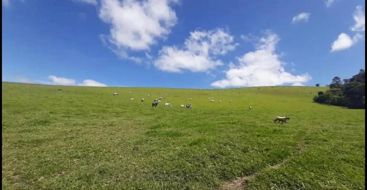 Foto 1 de Fazenda / Haras à venda, 1452000m2 em Piracaia - SP