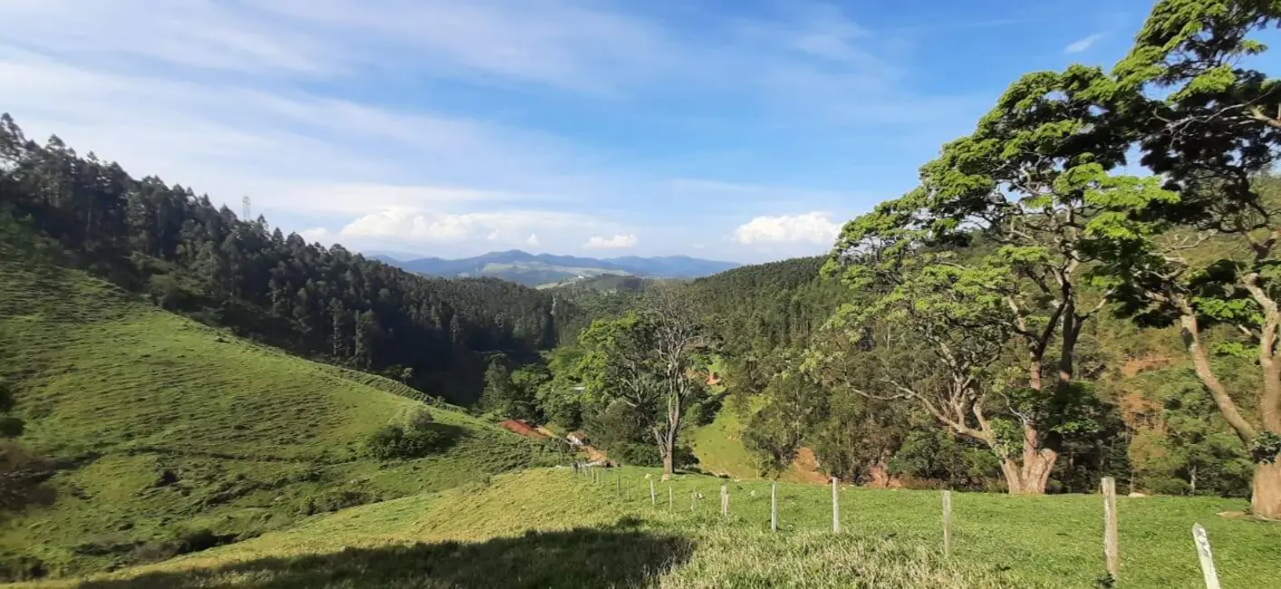 Fazenda / Haras com 3 quartos à venda, 500m2 em Centro, Piracaia - SP - imagem 3 Foto 3 de Fazenda / Haras com 3 quartos à venda, 500m2 em Centro, Piracaia - SP