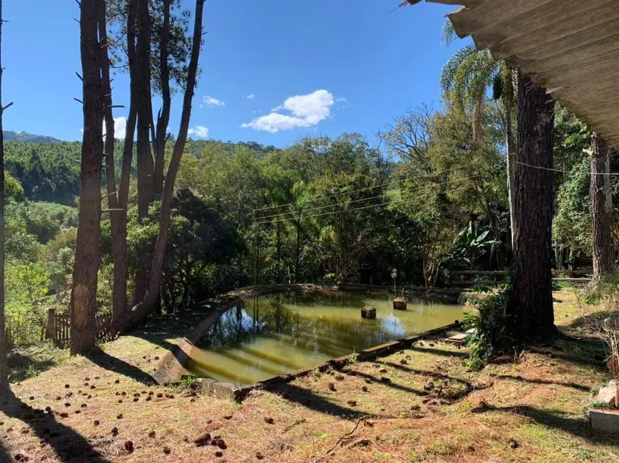 Chácara com 2 quartos à venda, 120m2 em Toledo - MG - imagem 3 Foto 3 de Chácara com 2 quartos à venda, 120m2 em Toledo - MG