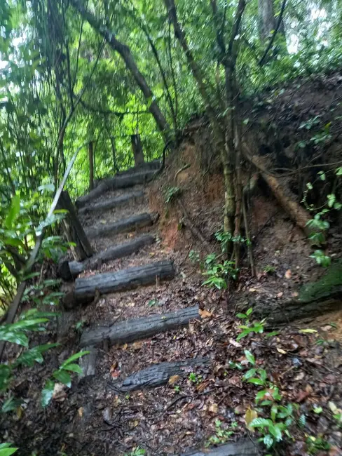Foto 5 de Fazenda / Haras à venda, 181m2 em Ribeirao Bonito - SP