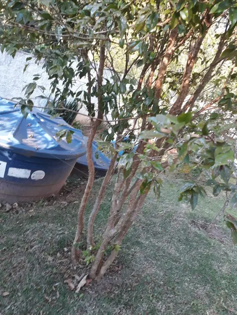 Foto 6 de Chácara com 3 quartos à venda, 150m2 em Estância Santa Maria do Portão, Atibaia - SP