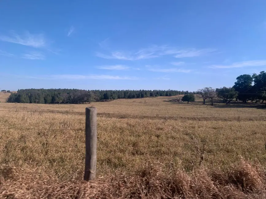 Fazenda / Haras à venda, 250m2 em Chácaras Cardoso, Bauru - SP - imagem 6 Foto 6 de Fazenda / Haras à venda, 250m2 em Chácaras Cardoso, Bauru - SP