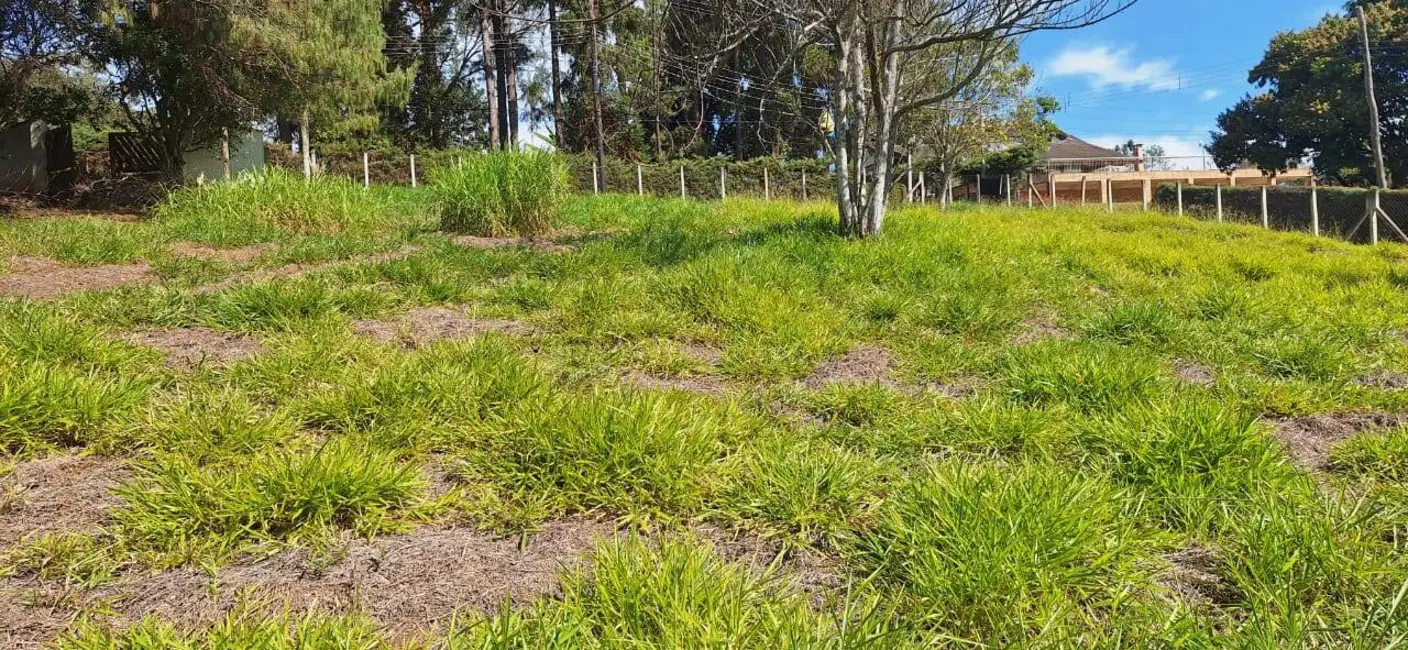 Foto 5 de Lote de Condomínio à venda, 1125m2 em Piracaia - SP