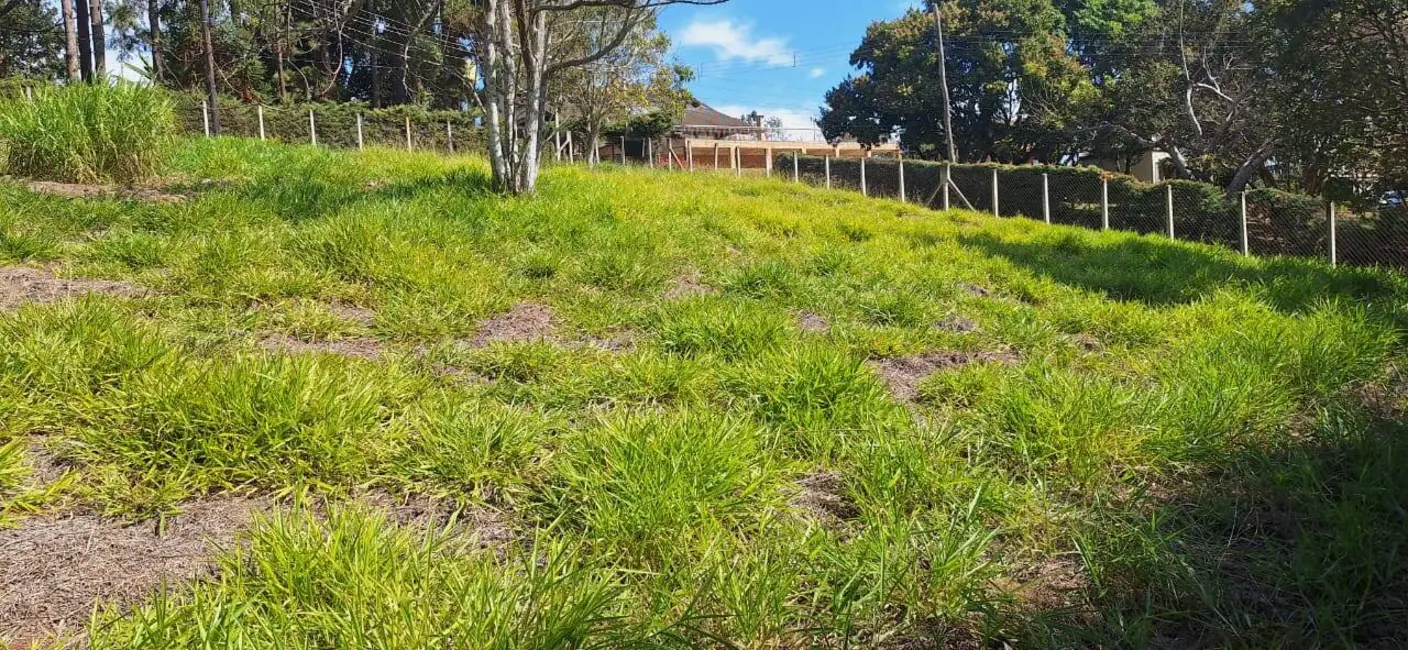 Foto 4 de Lote de Condomínio à venda, 1125m2 em Piracaia - SP