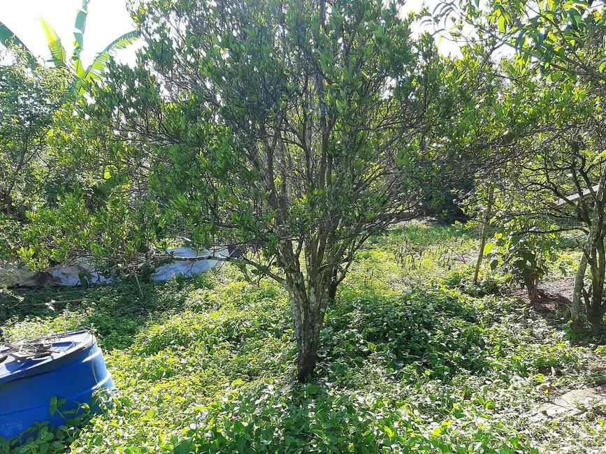 Chácara com 2 quartos à venda, 1500m2 em Boa Vista, Atibaia - SP - imagem 9 Foto 9 de Chácara com 2 quartos à venda, 1500m2 em Boa Vista, Atibaia - SP